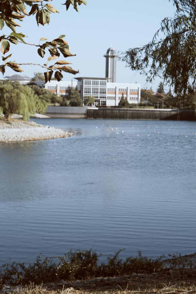 Lake View